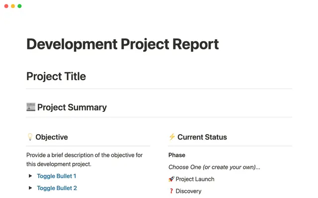 Development project report