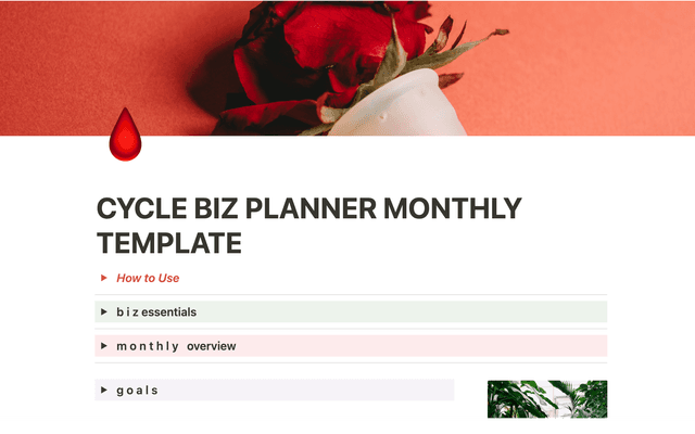 Monthly Cycle Biz Planner Template